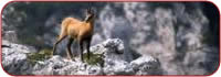 Regione Abruzzo