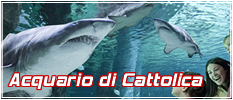 Acquario di Cattolica