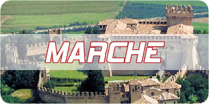 Storia Marche