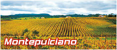 Turismo Montepulciano