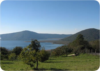 Monti Cimini