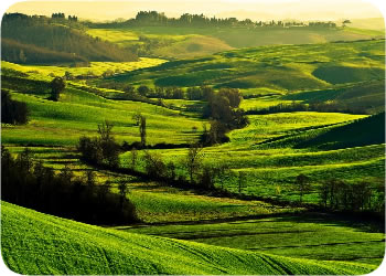 Siena Paesaggio